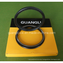 Floating Oil Seal Group 4513173